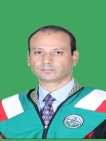 لا يوجد صورة