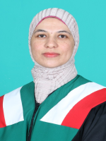 لا يوجد صورة