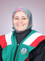 لا يوجد صورة